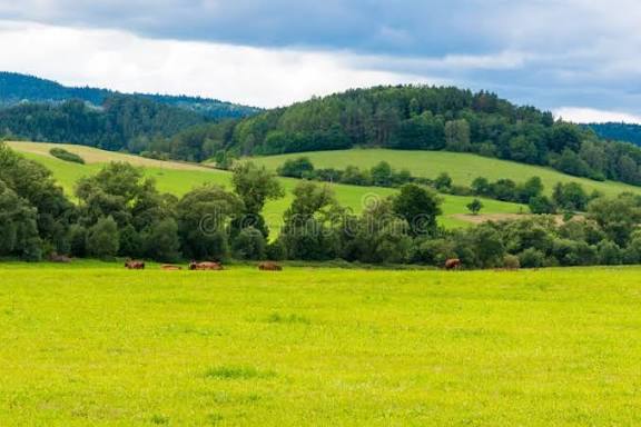 Off-Plan Properties: Are They Really Worth the Investment?